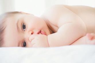案例